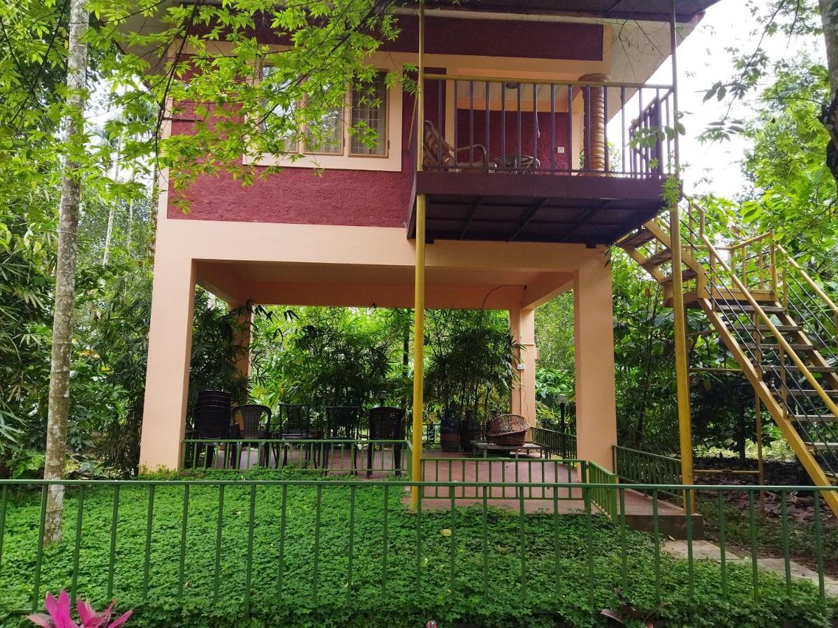 Wayanad Green Park Resort Ambalavayal Экстерьер фото