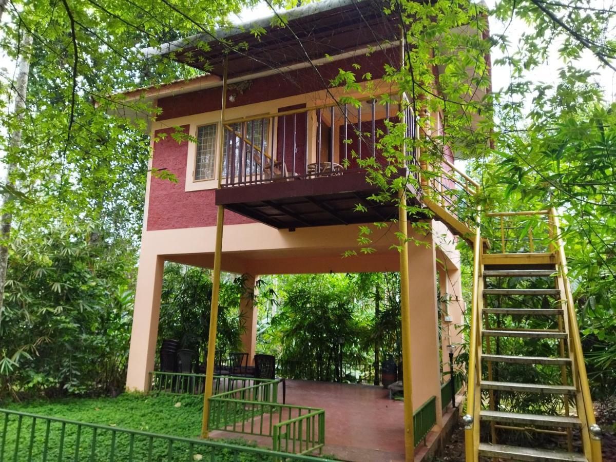 Wayanad Green Park Resort Ambalavayal Экстерьер фото
