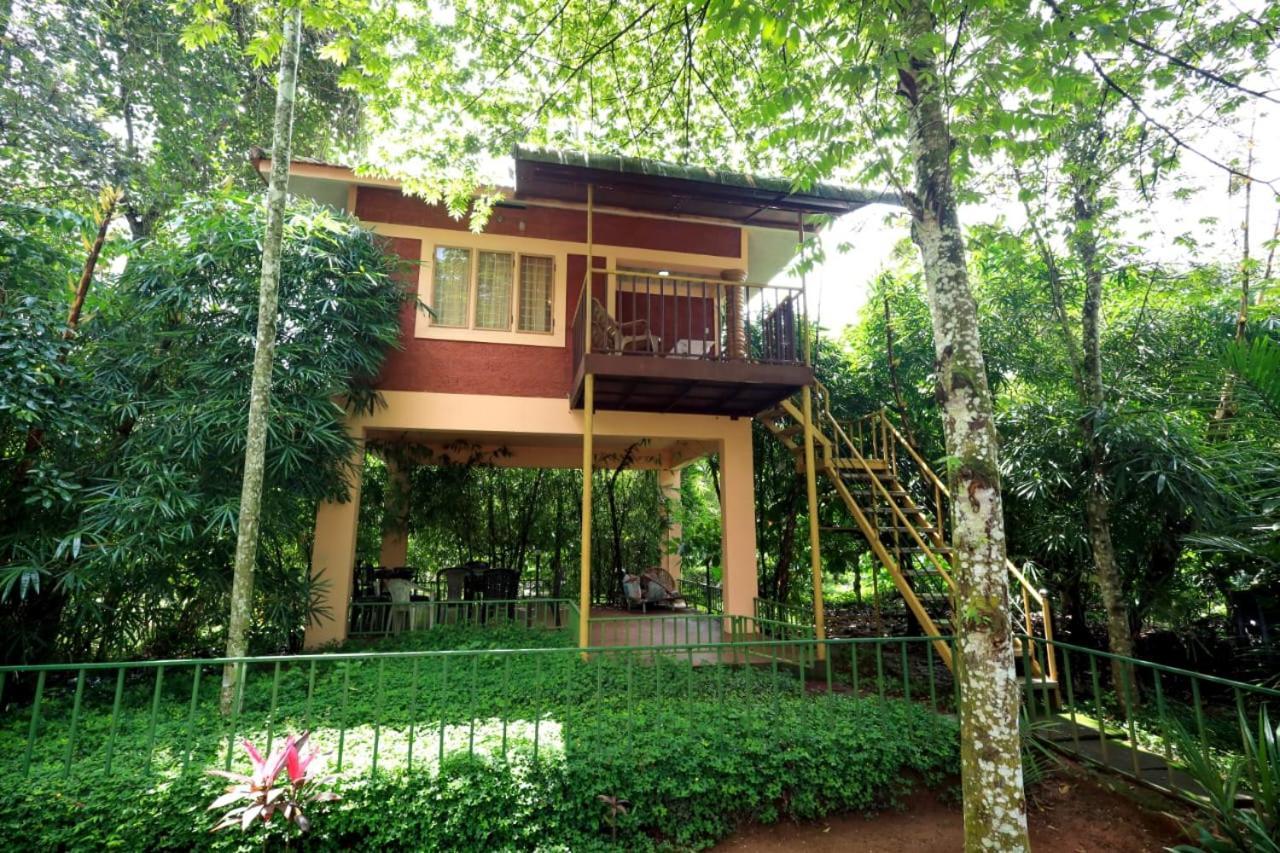 Wayanad Green Park Resort Ambalavayal Экстерьер фото
