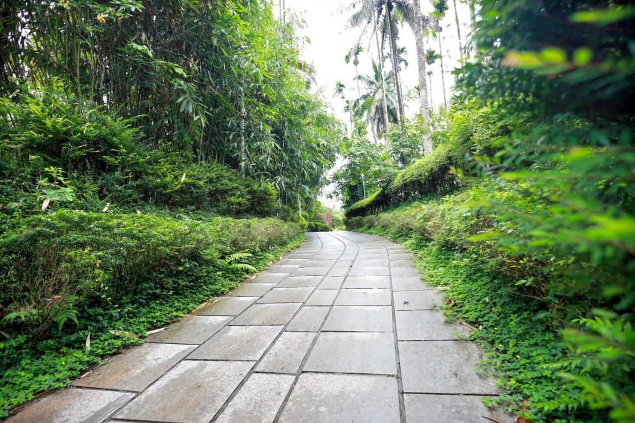 Wayanad Green Park Resort Ambalavayal Экстерьер фото