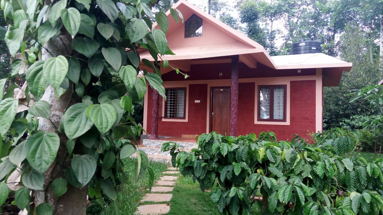 Wayanad Green Park Resort Ambalavayal Экстерьер фото